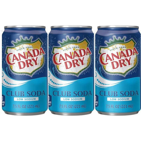 Canada Dry Club Soda 6x7.5 fl oz - Green Basket Marco Island