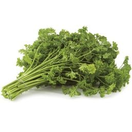 Curly Parsley Bunch