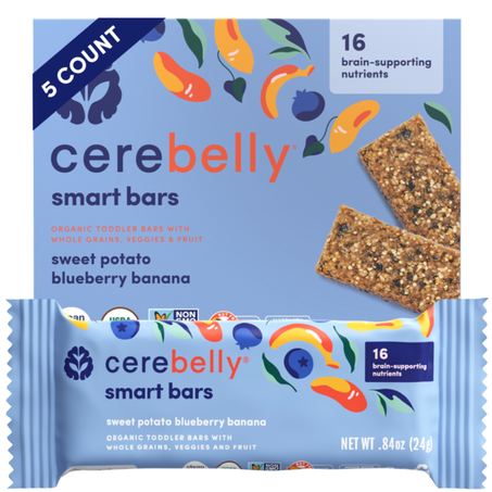 Cerebelly Organic Blueberry Banana, Smart Bar