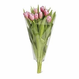 Everflora Tulip Bunch 10 stem 1 each