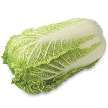 Napa Cabbage