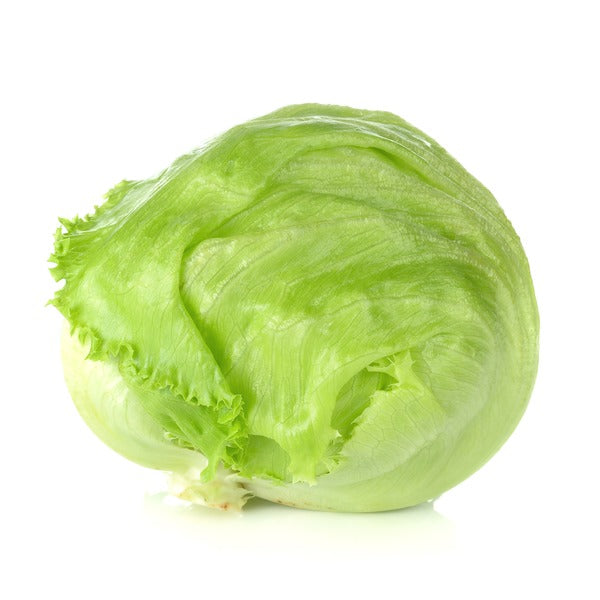 Iceberg Lettuce Organic