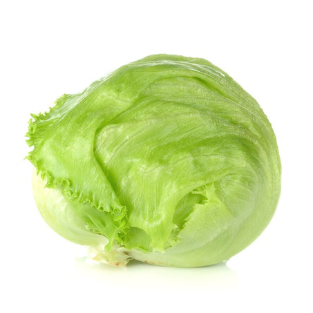 Iceberg Lettuce Organic