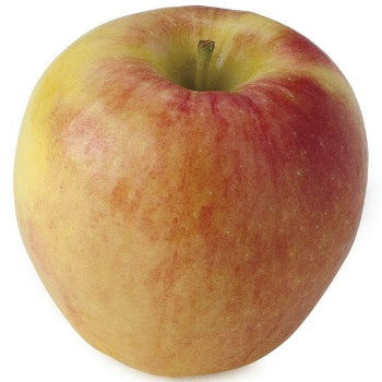 Ambrosia Apple