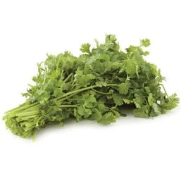 Cilantro Bunch