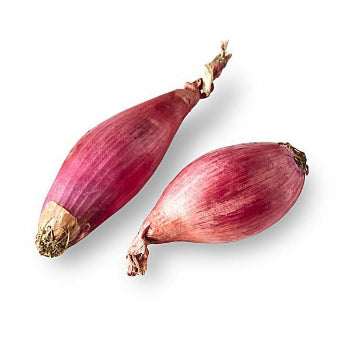 Leasa Banana Shallots