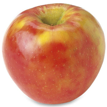 Honeycrisp Apple