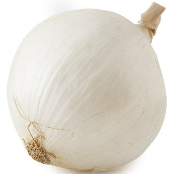 White Onion