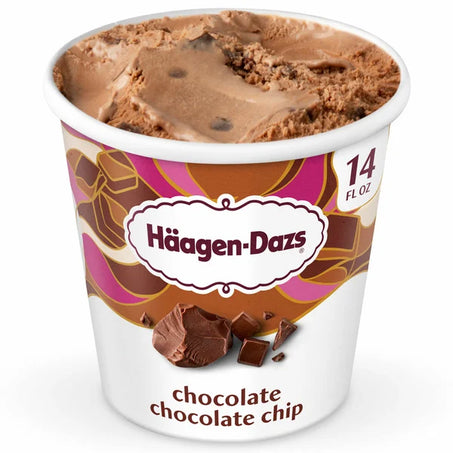 Haagen-Dazs Chocolate Chocolate Chip Ice Cream Pint