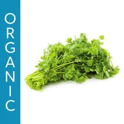 Organic Cilantro Bunch