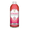 Synergy 48 fl oz