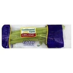 Organic Celery Stalk