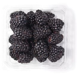 Organic Blackberries Package