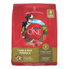 Purina ONE Dry Dog Food Lamb and Rice Formula