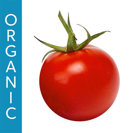 Tomatoes On The Vine Organic