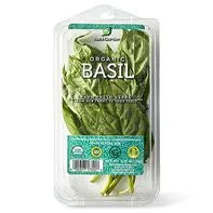 Rock Garden Organic Basil