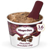 Haagen-Dazs Ice Cream 3.6 fl oz