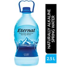 Eternal Water Naturally Alkaline Spring Water 84.5 fl oz