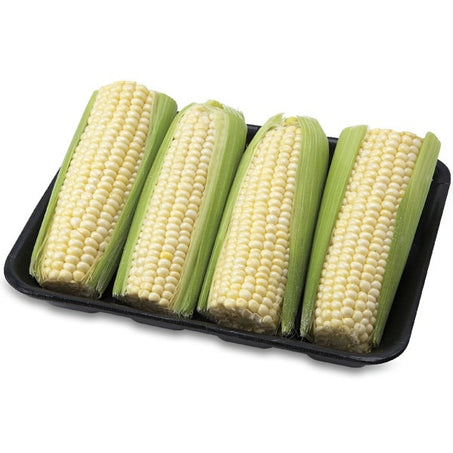 White Sweet Corn