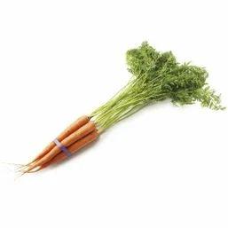 Organic Carrots Bunch