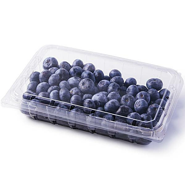 Organic Blueberries