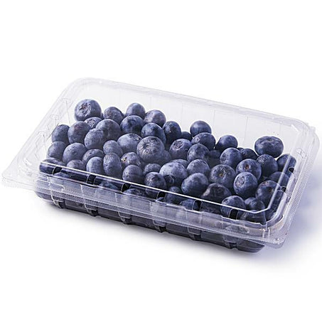Organic Blueberries