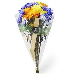 Designer Daisy Bunch