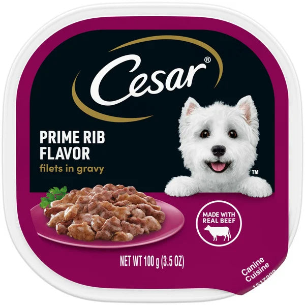 Cesar Filets in Gravy Soft Wet Dog Food Prime Rib 3.5 oz